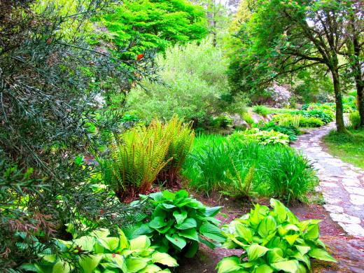 656214 (a): :2560x1920